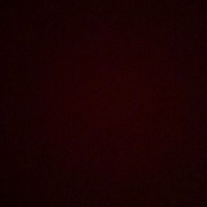 Meet your Posher, Bella